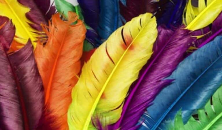 Цветна магия: мистична наука, която ще подобри живота Ви